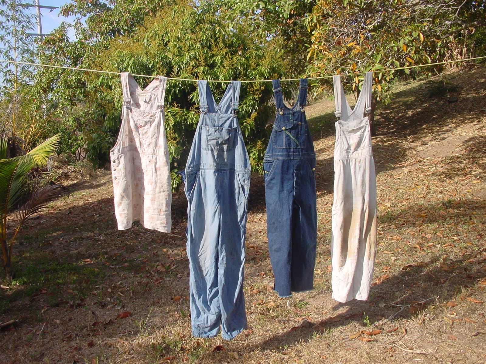 Overall denim blues…